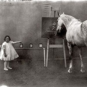 Meet your Posher, Rachael